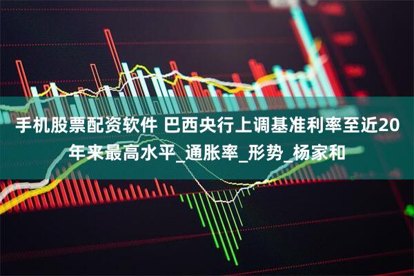 手机股票配资软件 巴西央行上调基准利率至近20年来最高水平_通胀率_形势_杨家和