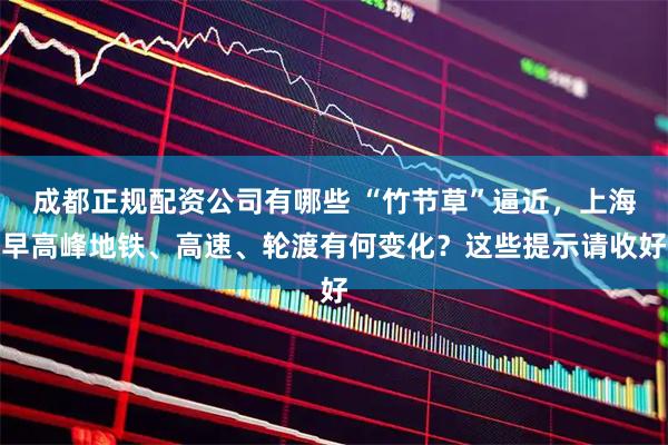 成都正规配资公司有哪些 “竹节草”逼近，上海早高峰地铁、高速、轮渡有何变化？这些提示请收好