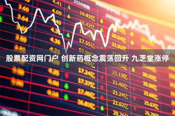 股票配资网门户 创新药概念震荡回升 九芝堂涨停