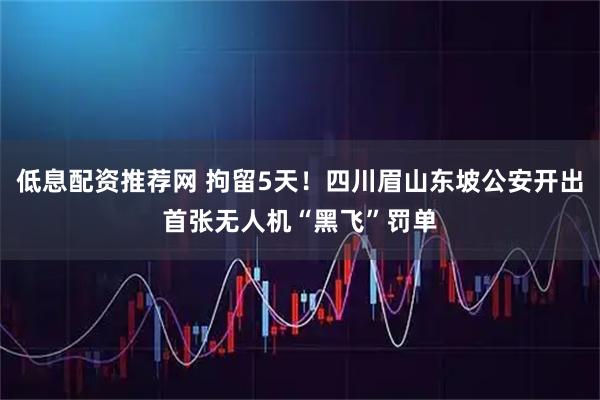 低息配资推荐网 拘留5天！四川眉山东坡公安开出首张无人机“黑飞”罚单