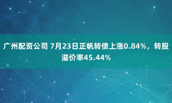 广州配资公司 7月23日正帆转债上涨0.84%，转股溢价率45.44%