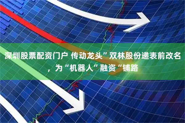 深圳股票配资门户 传动龙头”双林股份递表前改名，为“机器人”融资“铺路